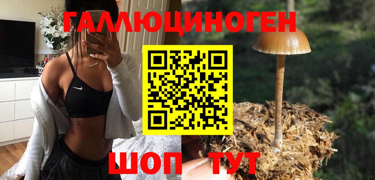 Галлюциногенные грибы MAGIC MUSHROOMS  Галлюциногенные грибы Cubensis  Вход с VPN  Киржач 