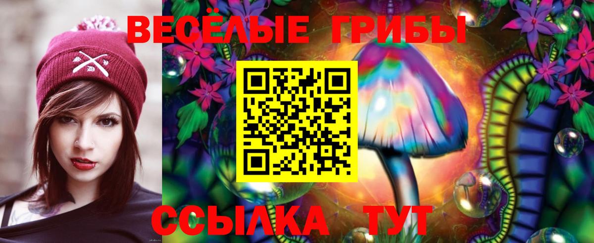 Галлюциногенные грибы Cubensis Киржач